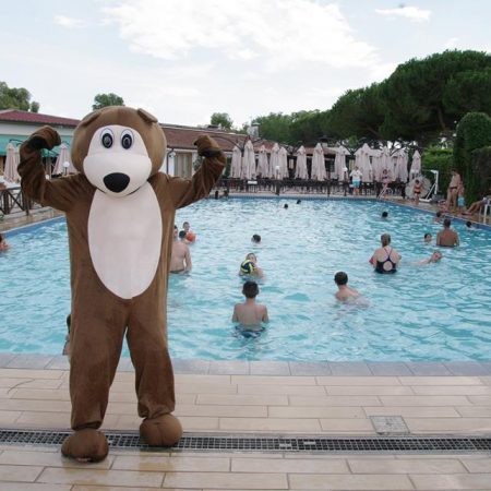 bear_piscina